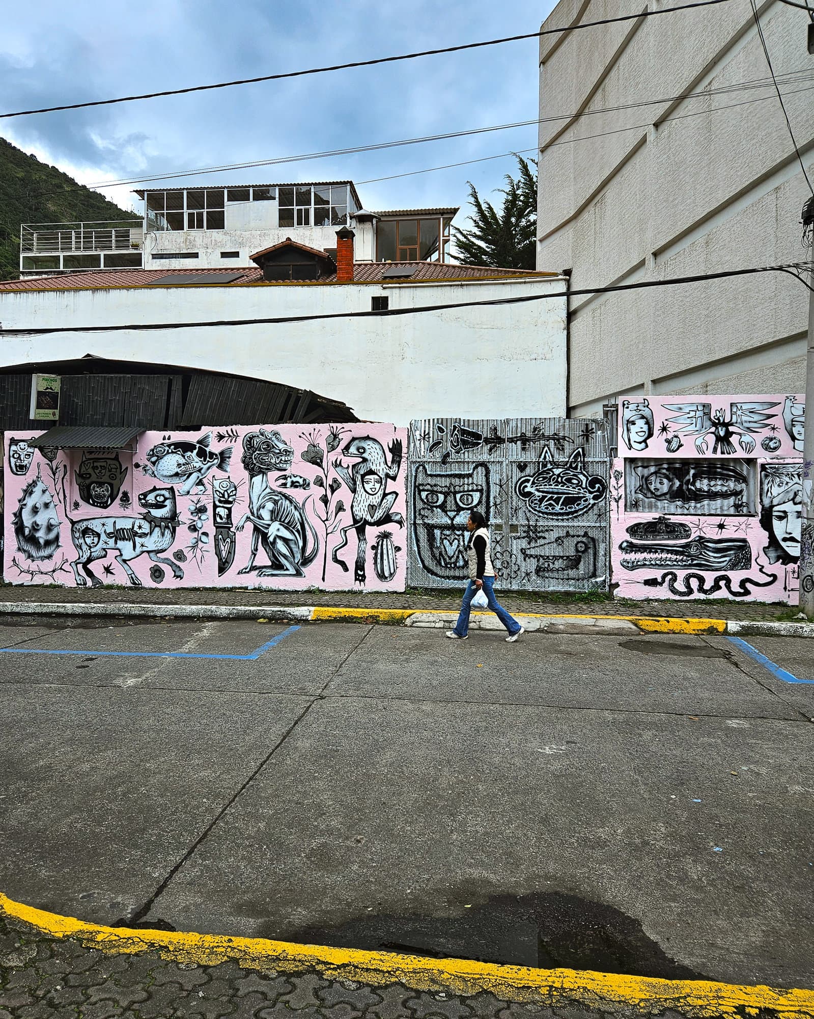 Ecuador Walls