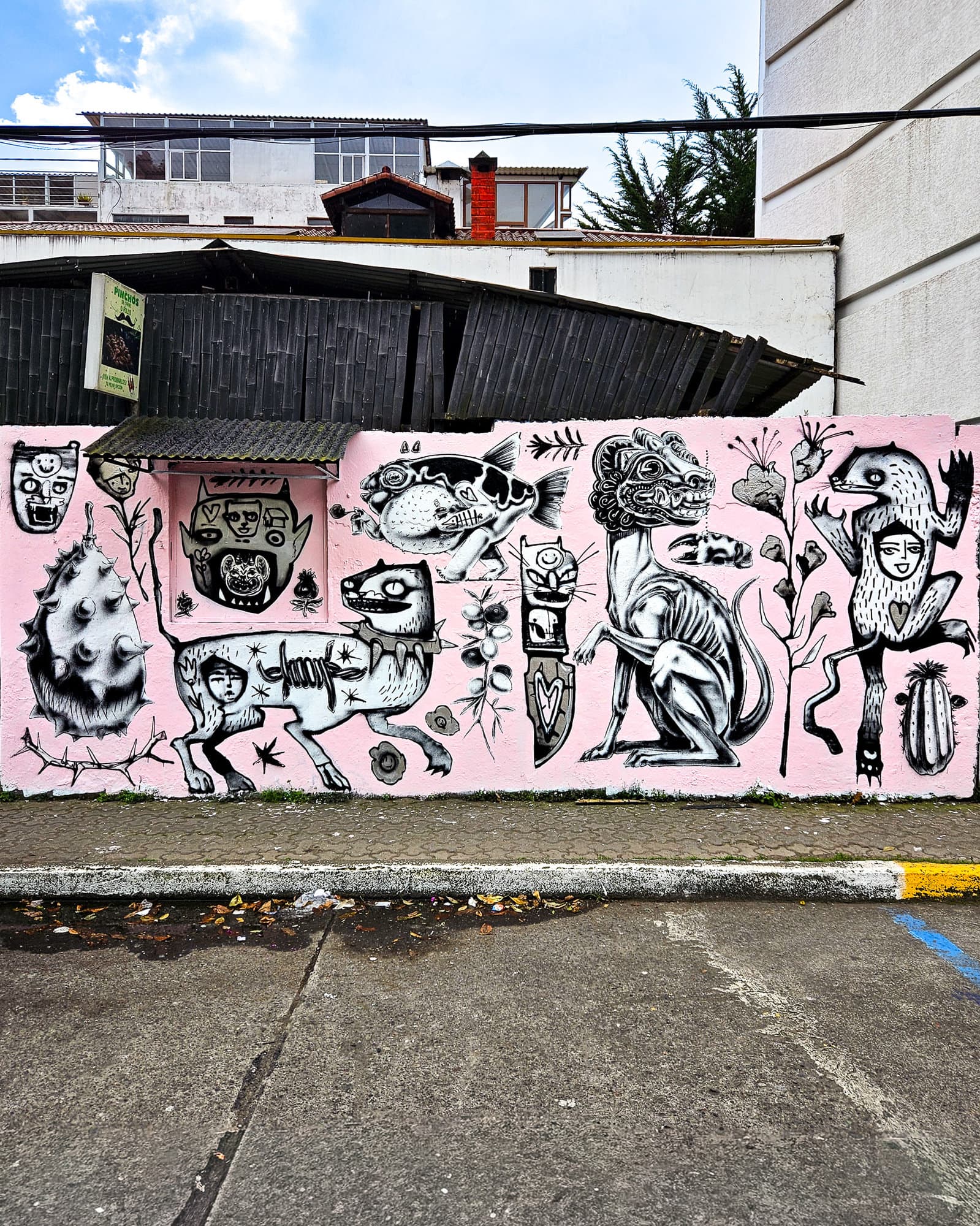 Ecuador Walls (2)