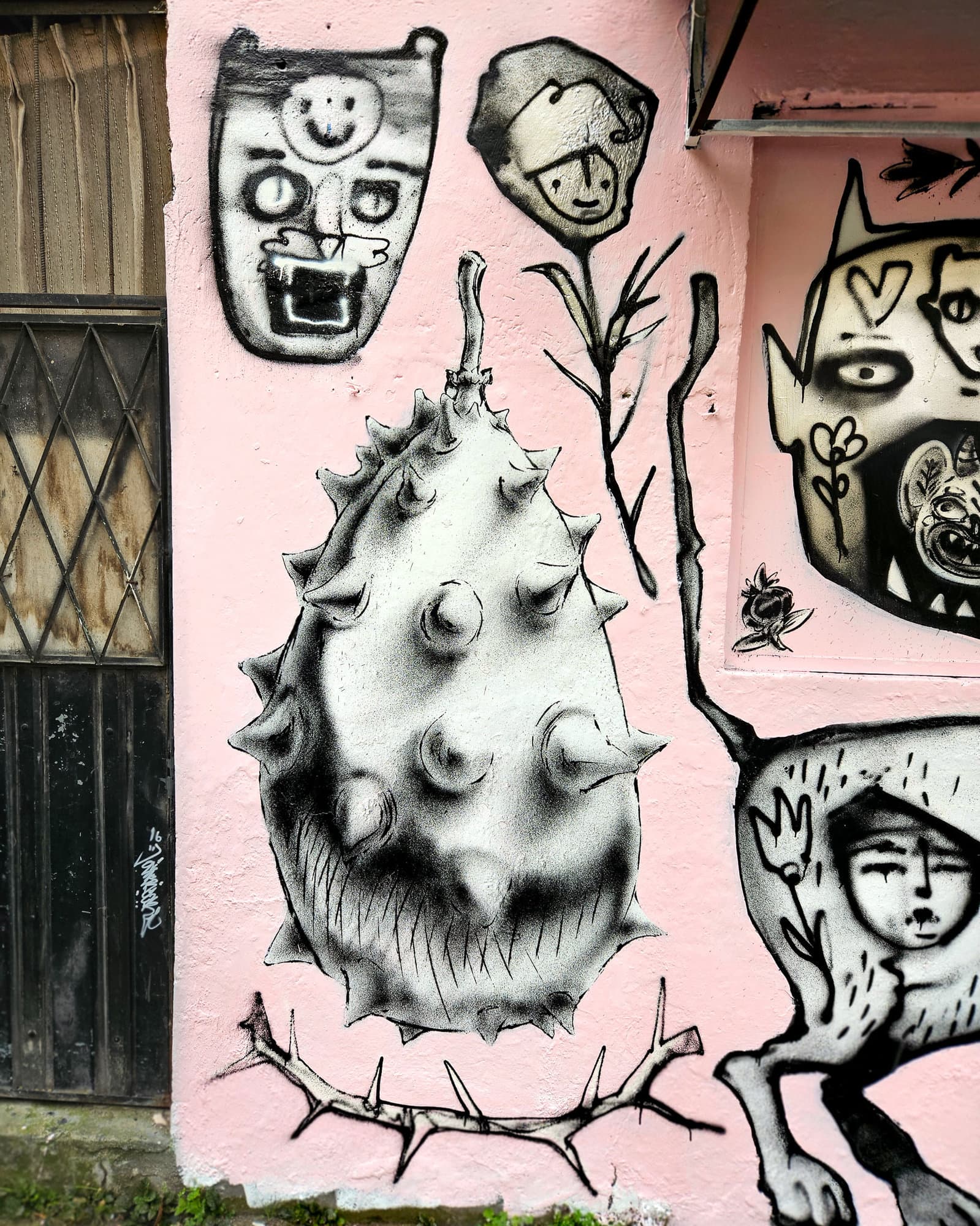 Ecuador Walls (8)