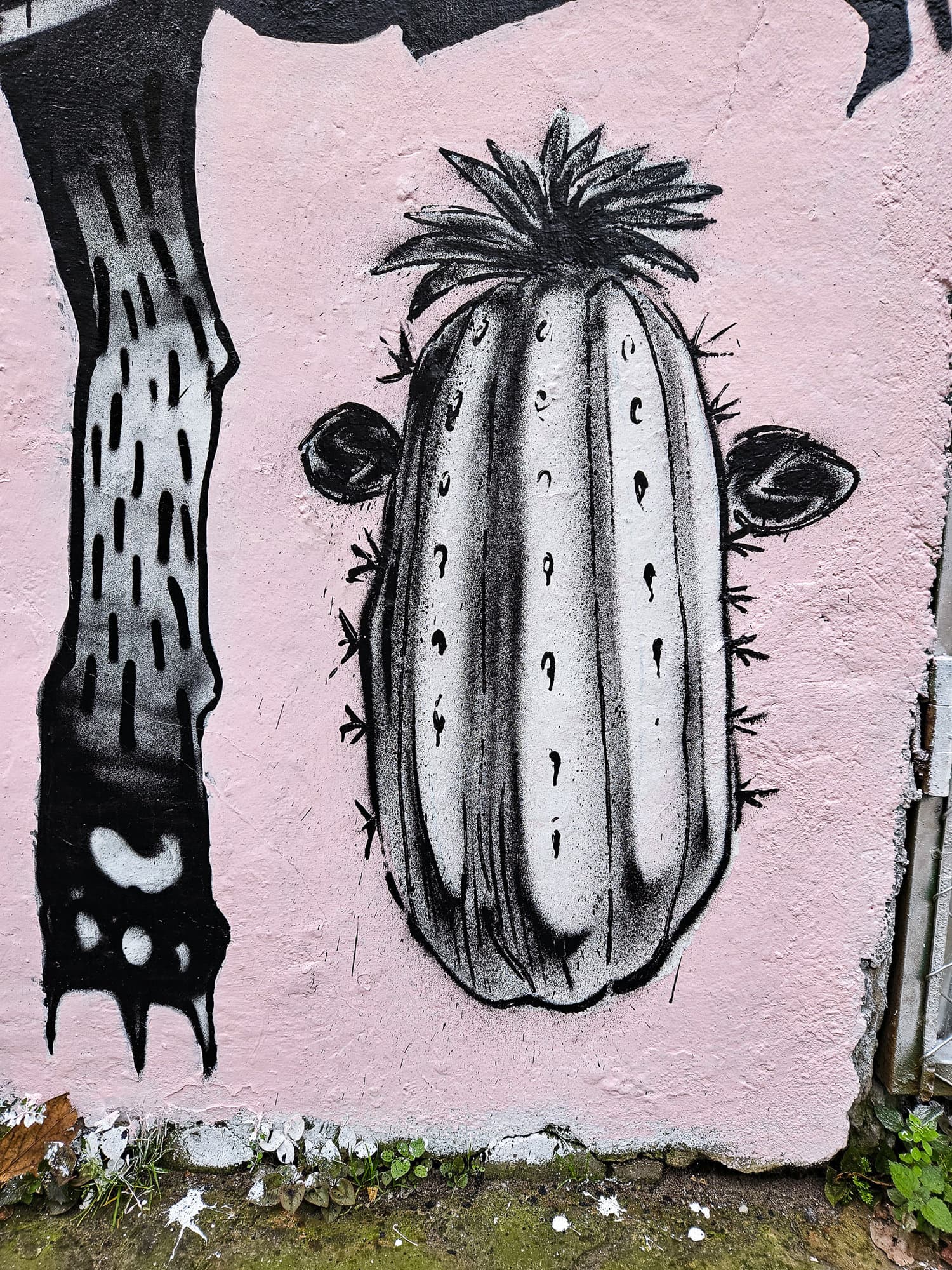 Ecuador Walls (9)