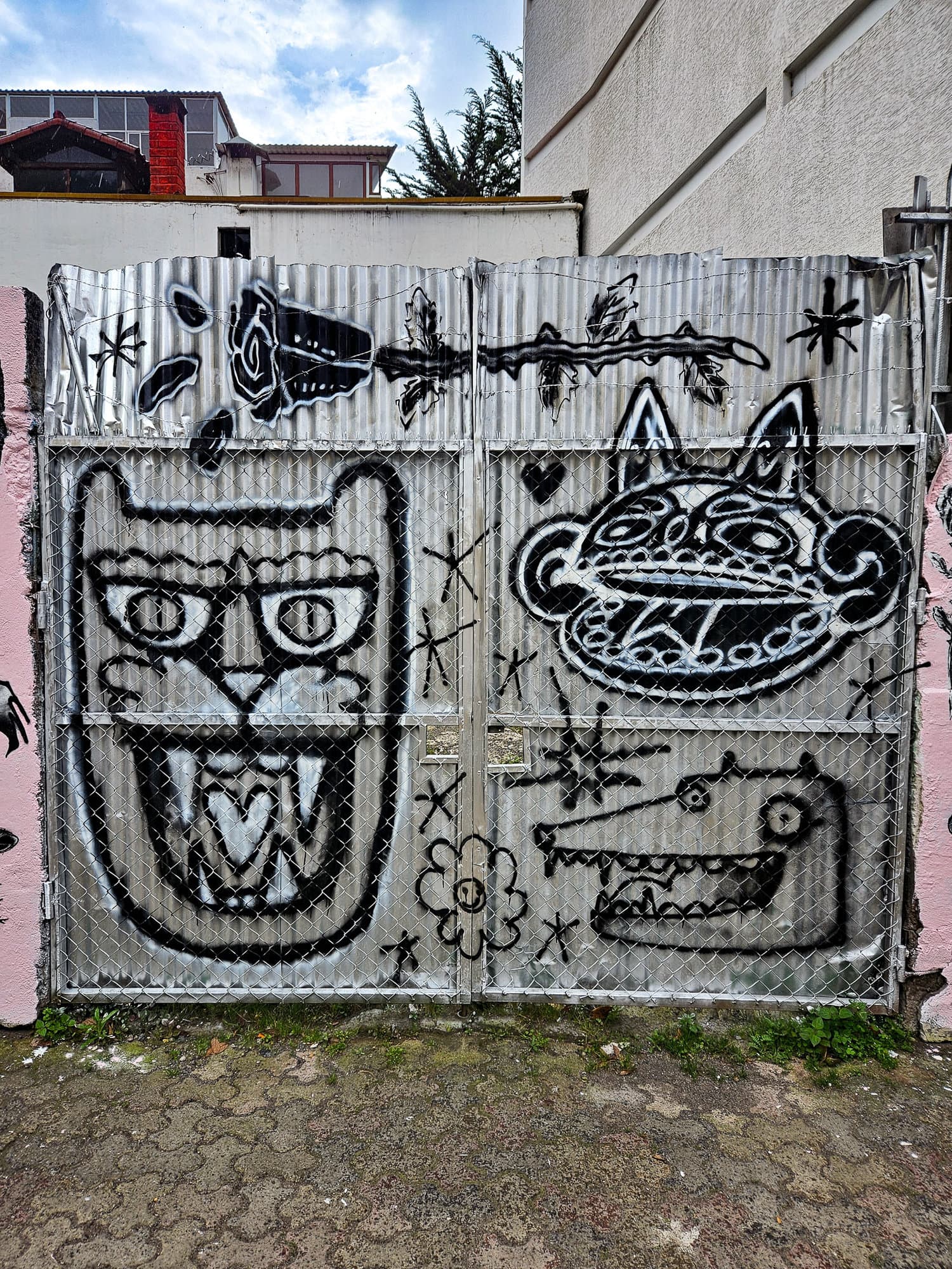 Ecuador Walls (11)