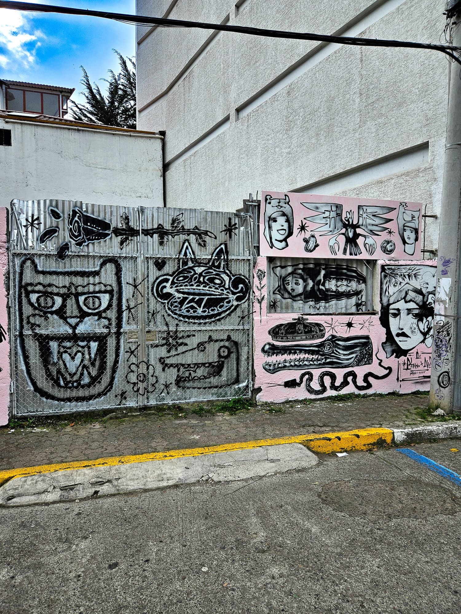 Ecuador Walls (12)