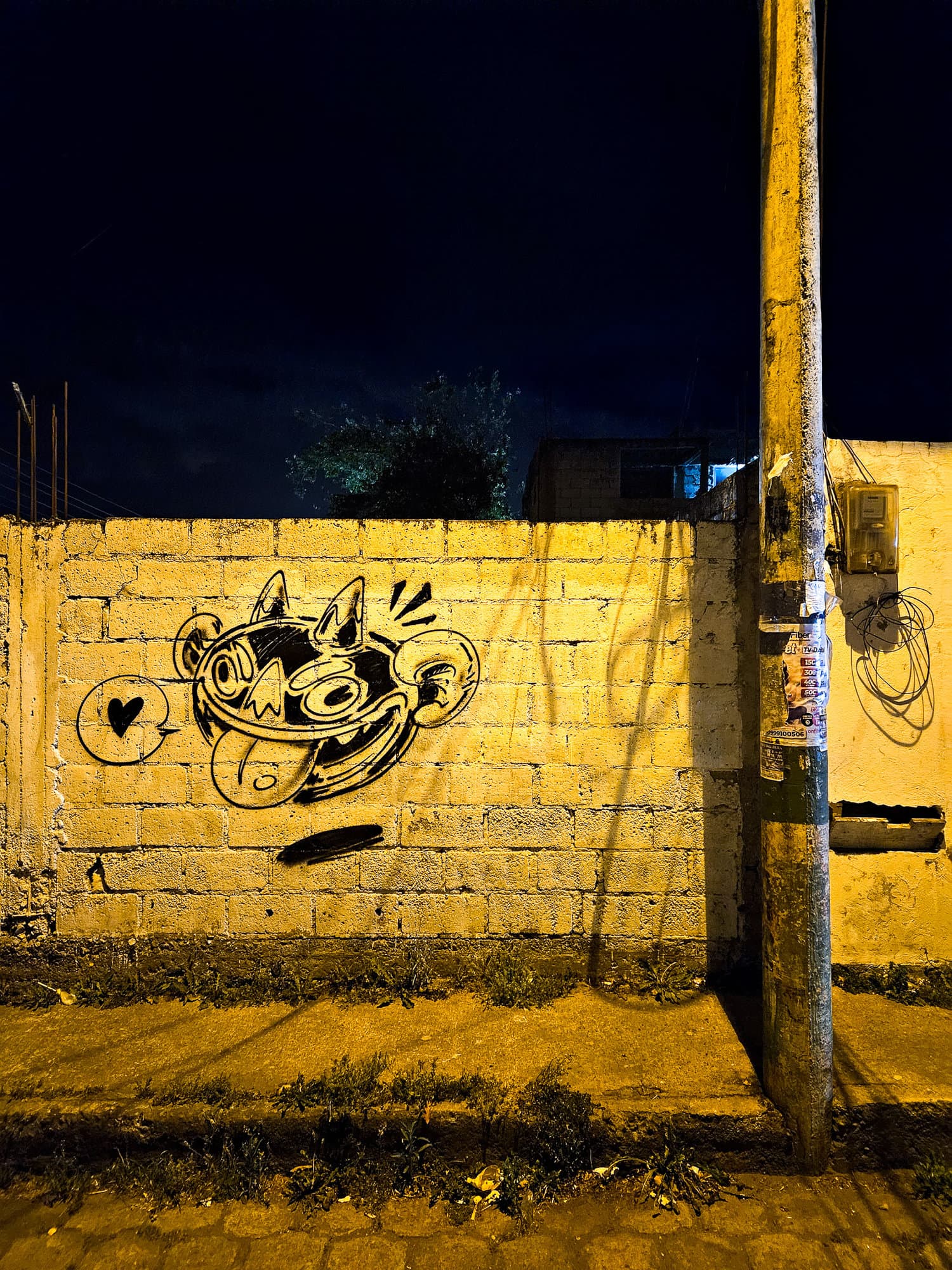 Ecuador Walls (17)