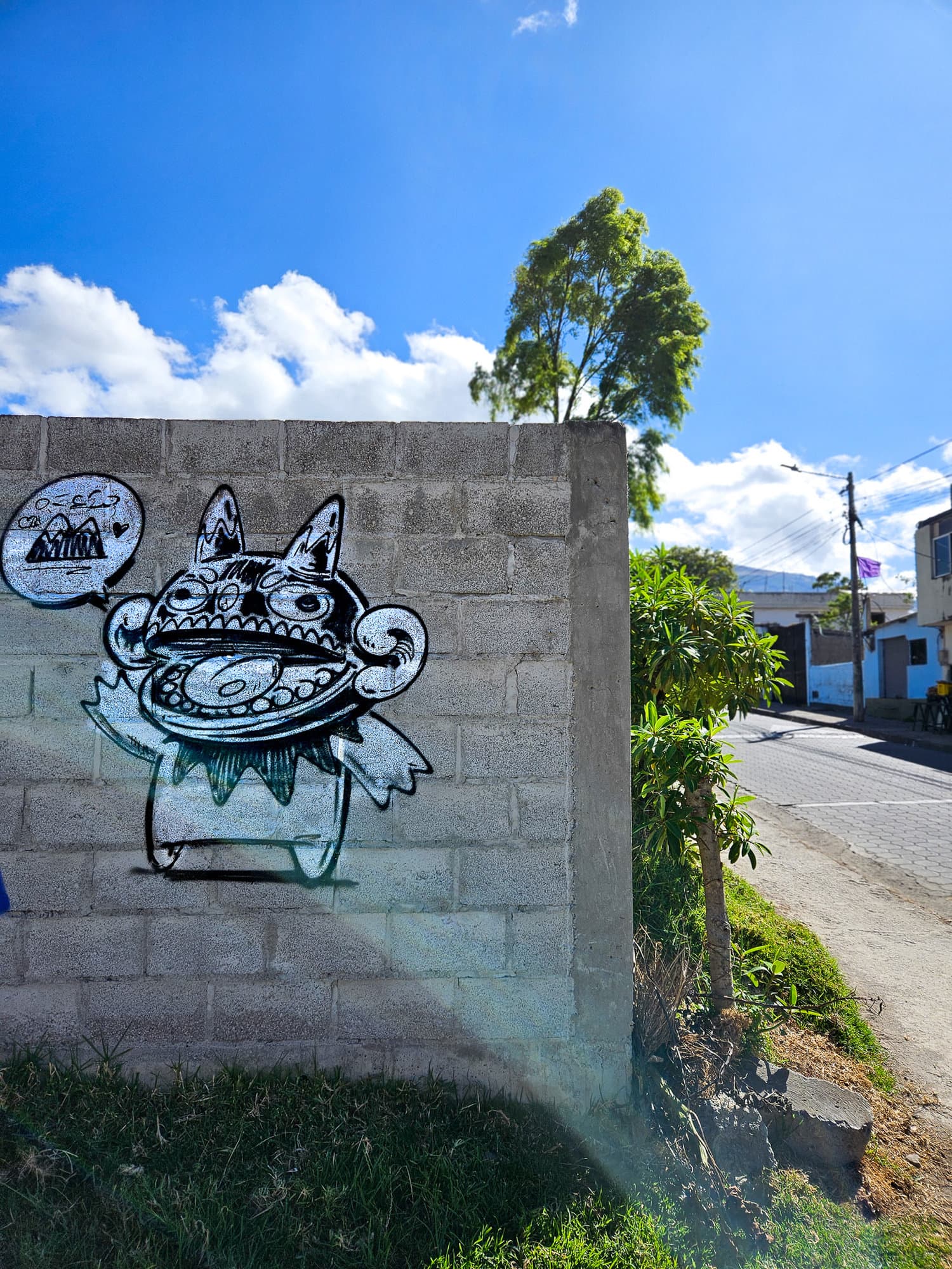 Ecuador Walls (18)