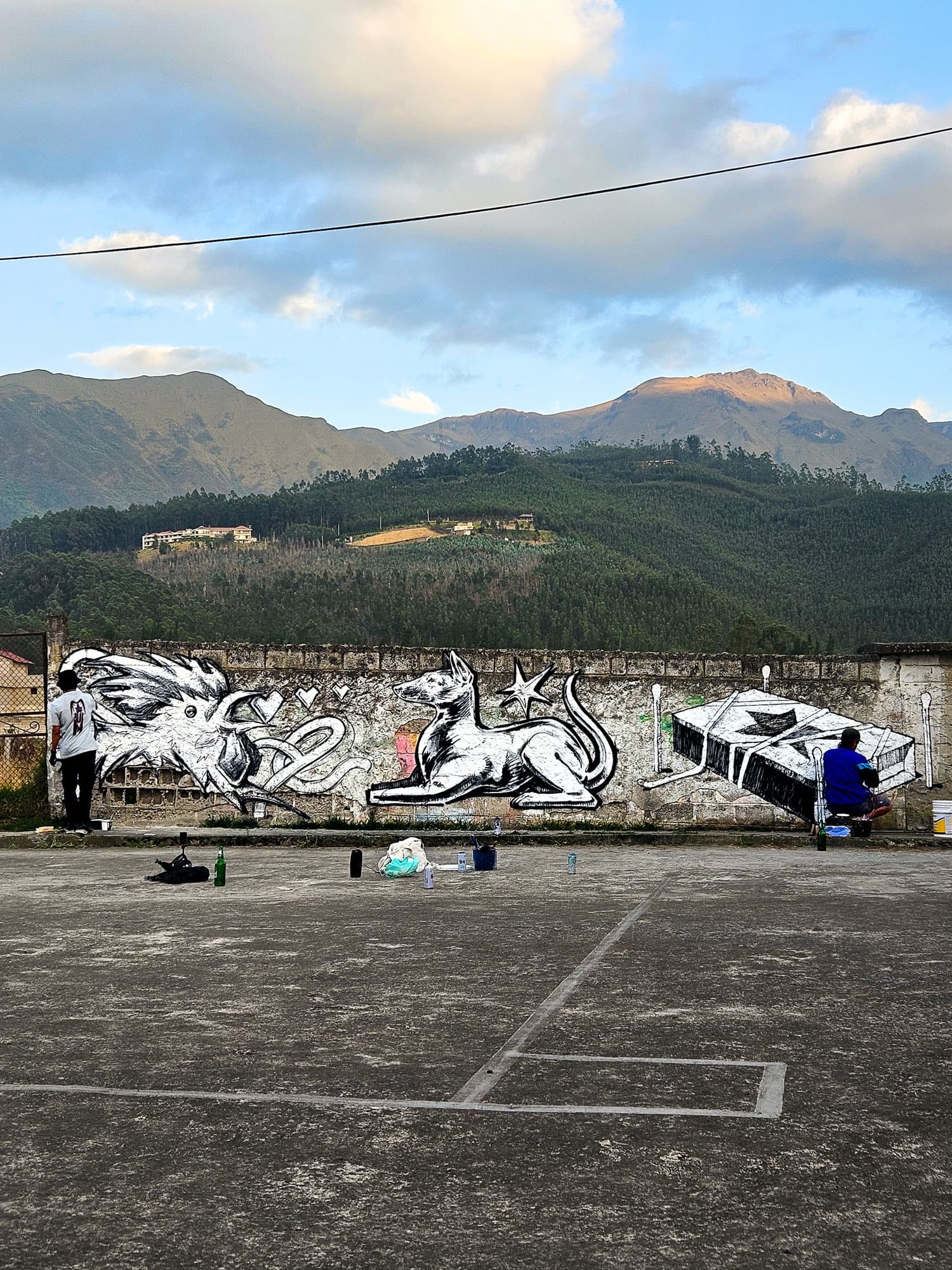 Ecuador Walls (19)