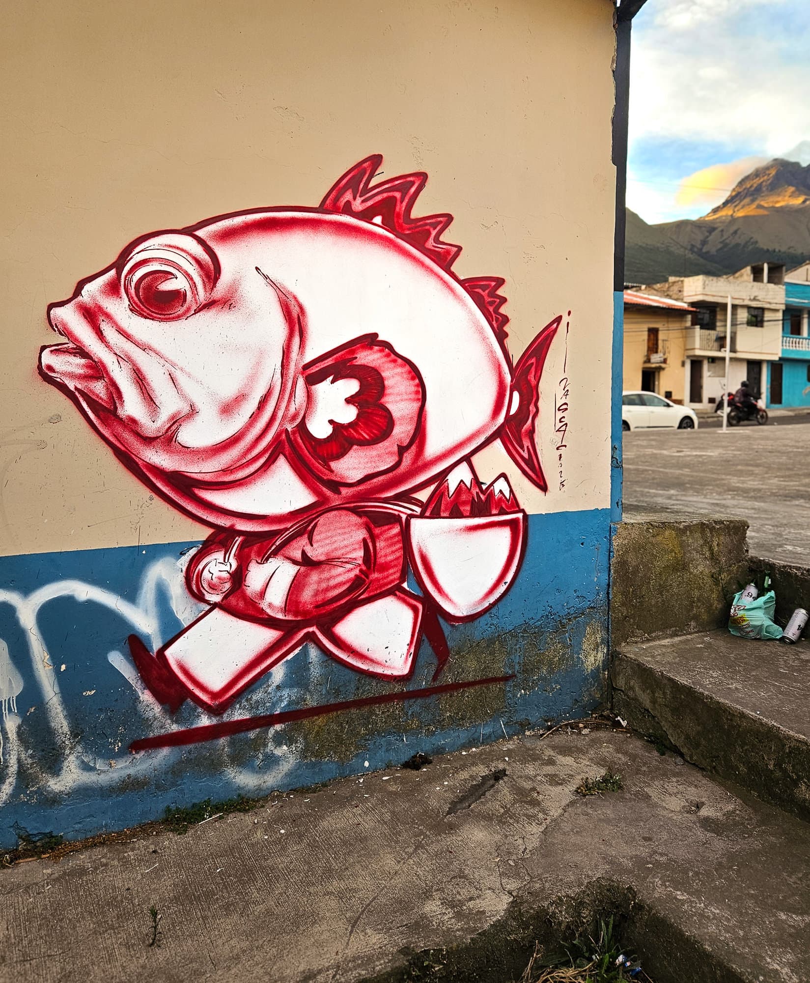 Ecuador Walls (21)