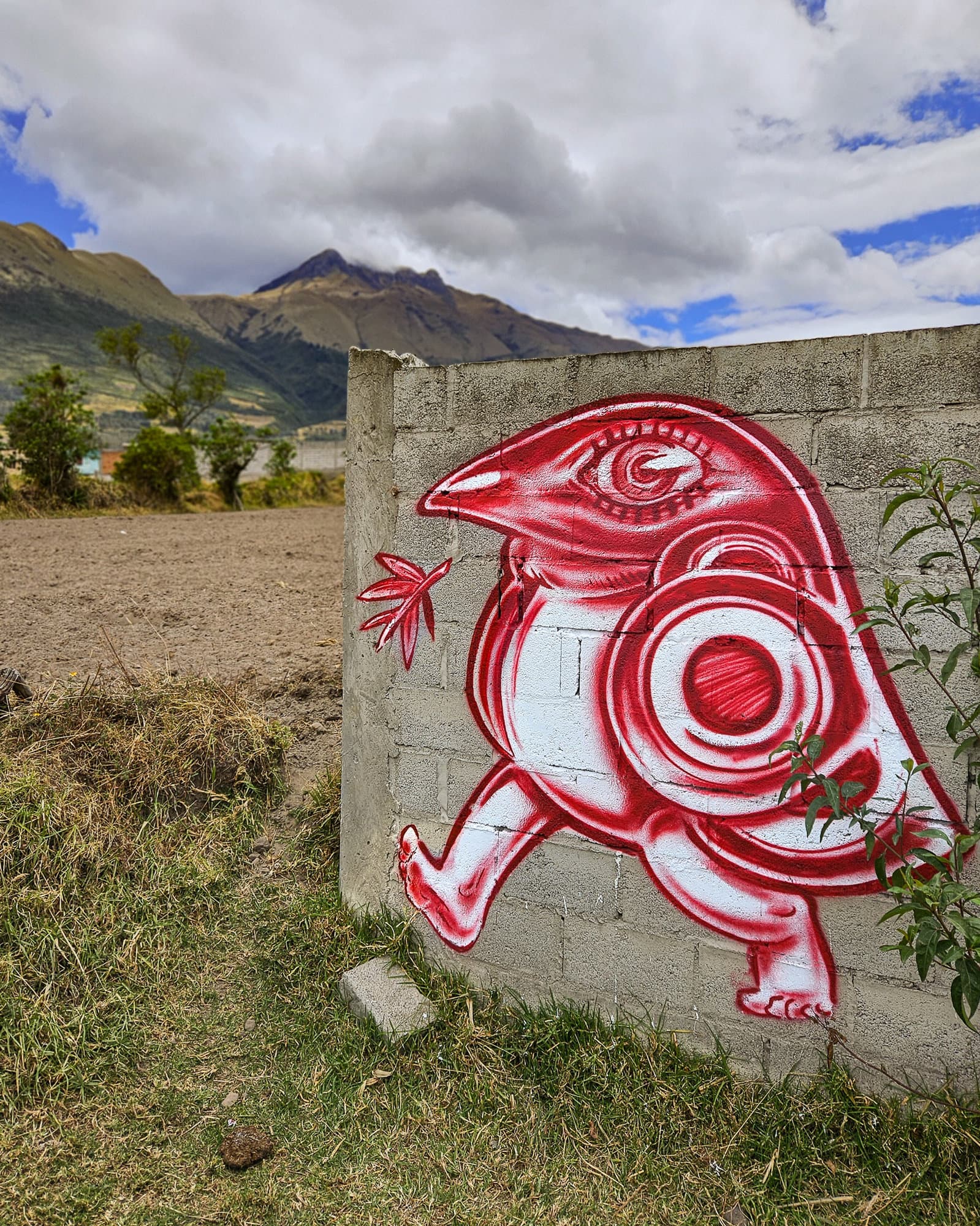 Ecuador Walls (22)