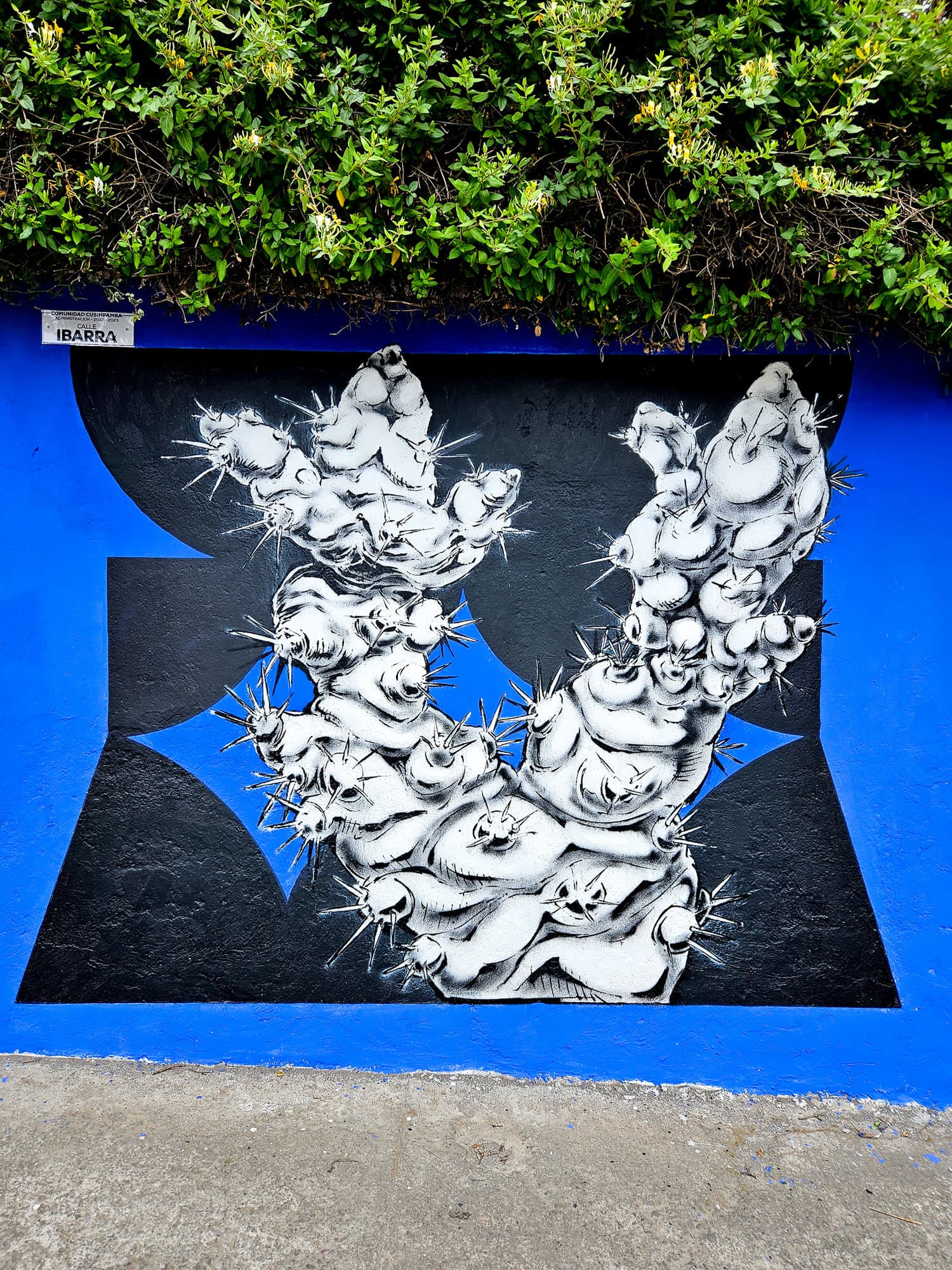 Ecuador Walls (23)