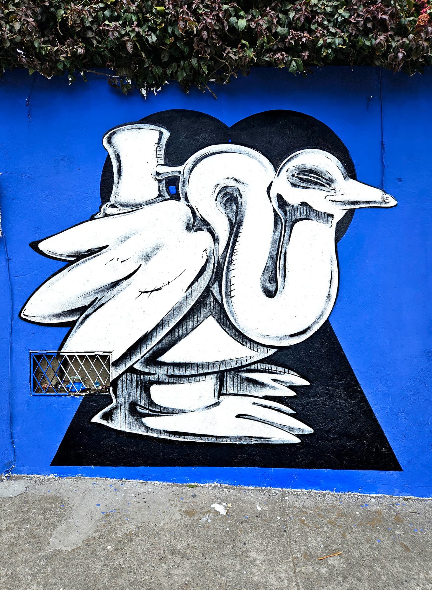 Ecuador Walls (24)