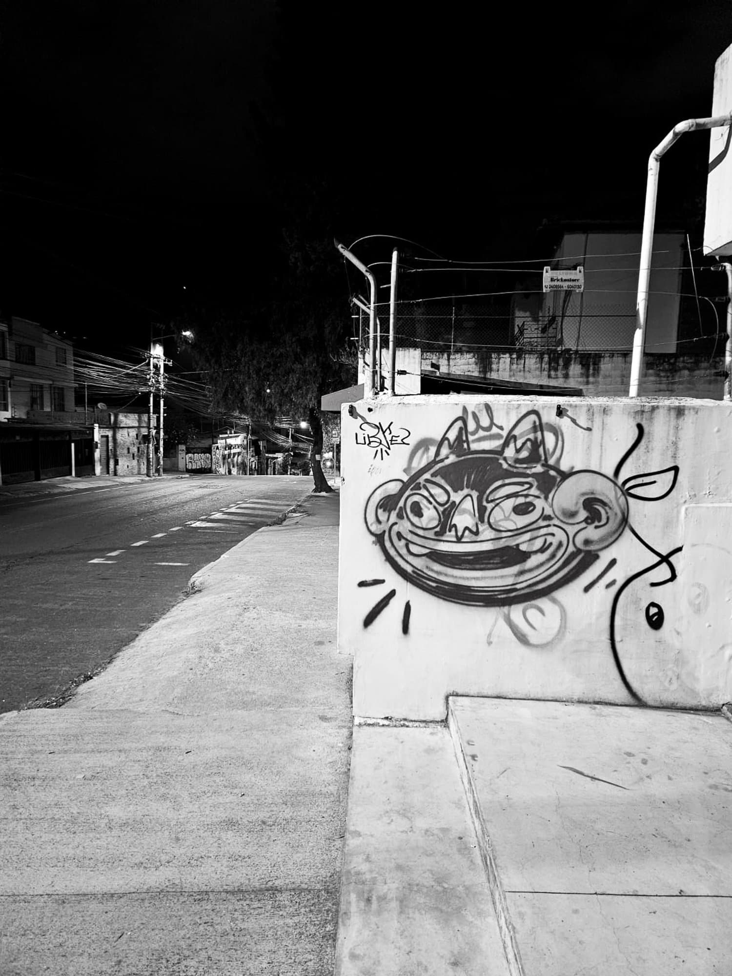 Ecuador Walls (28)