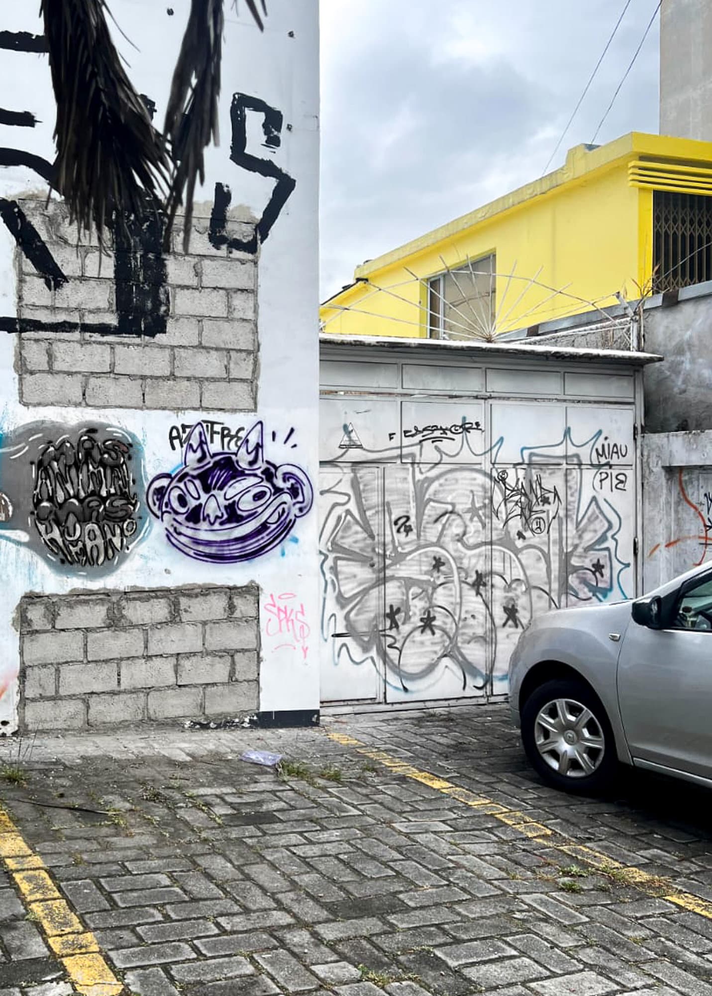 Ecuador Walls (29)