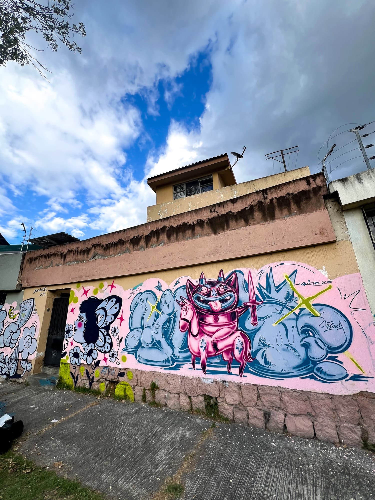 Ecuador Walls (30)
