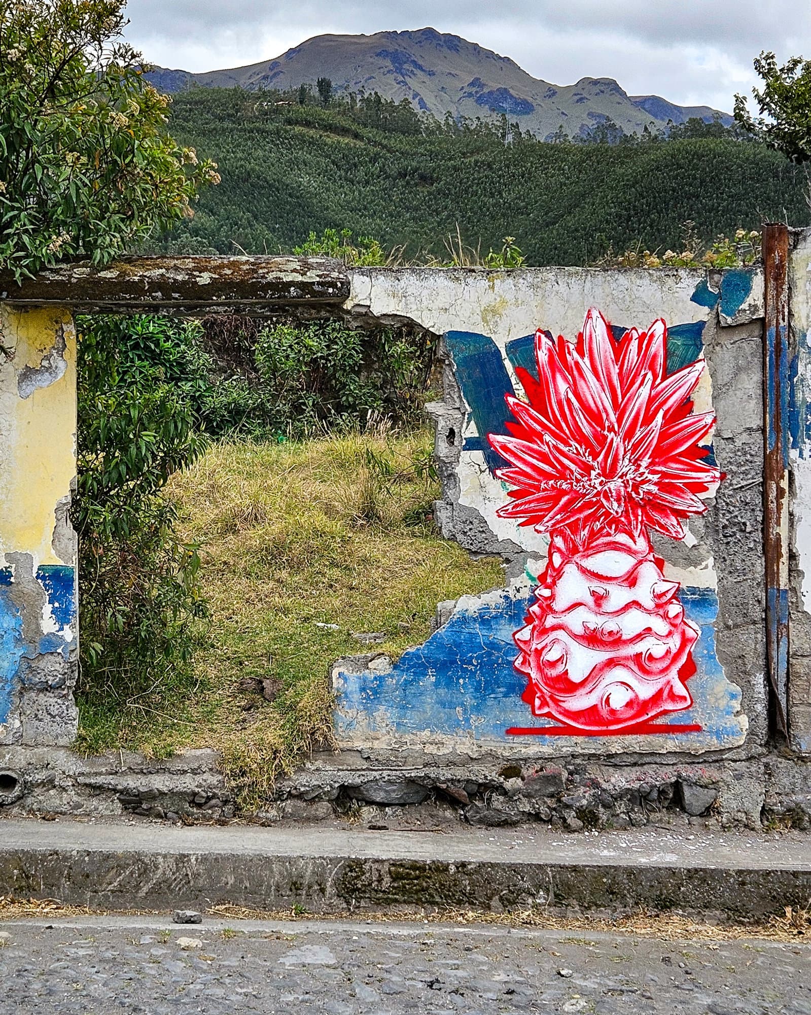 Ecuador Walls (33)